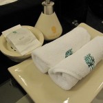 bt-bkk-one-bed-suite-022