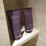 the-ritz-carlton-hkg-hi-012