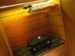 the-ritz-carlton-hkg-hi-014