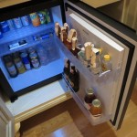 tajmahal-palace-seagull-025