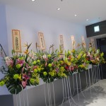 hnd-ana-suite-satellite-014