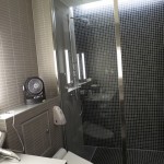 hnd-ana-suite-satellite-018