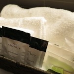 hnd-ana-suite-satellite-019