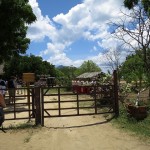 el-nido-apulit-oc-013