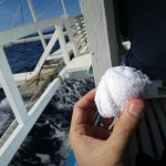 el-nido-apulit-oc-025