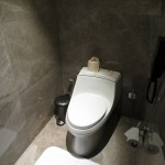 four-seasons-shenzhen-ds-016