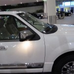 dal-al-masyaf-ashv-002