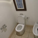 dal-al-masyaf-ashv-017