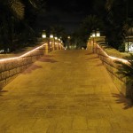 dal-al-masyaf-ashv-028