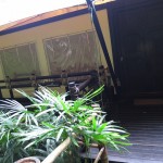 fourseasons-tc-gt-050