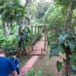 fourseasons-tc-gt-er-004