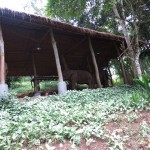 fourseasons-tc-gt-er-005