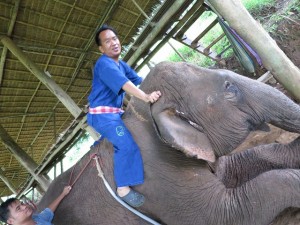 fourseasons-tc-gt-er-007