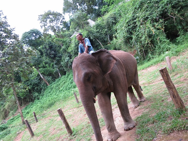 fourseasons-tc-gt-er-009