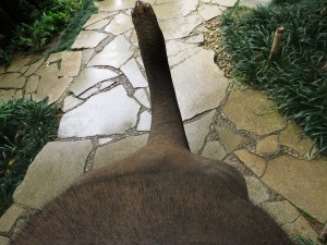 fourseasons-tc-gt-er-012