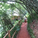 fourseasons-tc-gt-spa-004