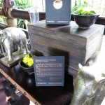 fourseasons-tc-gt-groumet-023