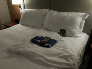 intercontinental-osaka-1bed-res-042